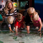 McWane Science Center - Petting Tank