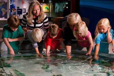 McWane Science Center - Petting Tank