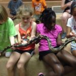 Gross Out Camp 2024