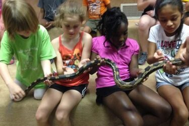Gross Out Camp 2024