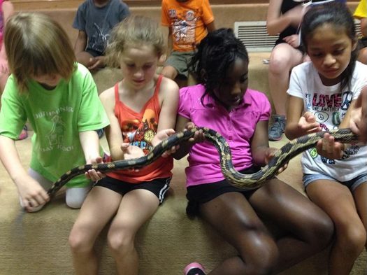Gross Out Camp 2025 Gross Out Camp 2024