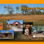 Great Pumpkin Patch - Hayden. AL