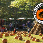 Win a Family 4 Pack of Tickets to Pumpkin Junction