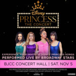 Disney Princess Concert
