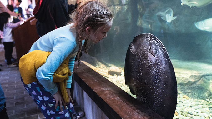 11 Best Day Trips from Birmingham