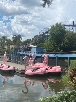 Flamingo Paddle Boats Flamingo Paddle Boats