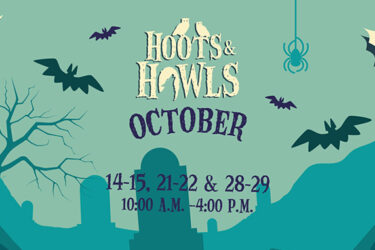 Hoots & Howls: Daytime Halloween Event