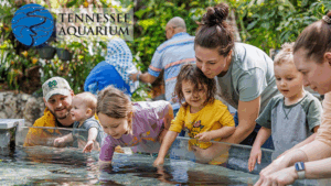 Win 3 Tickets to Tennessee Aquarium in Chattanooga