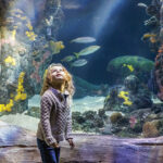 13 Fun Activities to Check out This Summer |