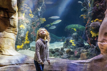 13 Fun Activities to Check out This Summer |
