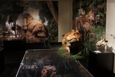 Permian Monsters: Life before the Dinosaurs