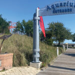 the Alabama Aquarium At Dauphin Island Sea Lab