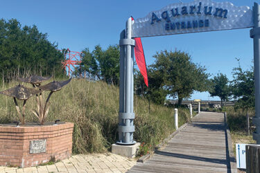 the Alabama Aquarium At Dauphin Island Sea Lab