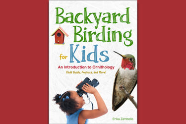 Backyard Birding for Kids