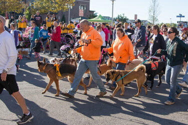 Virtual Canines-N-Kids’ Two by Four Race to Fight Cancers