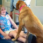 8 Tips to Help Make Dentist Visits Fearless and Tearless