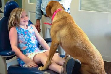 8 Tips to Help Make Dentist Visits Fearless and Tearless