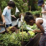 Homeschool Tribes