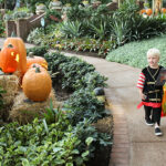  Goblins & Giggles Returns to Gaylord Opryland in Nashville