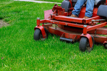 Lawn Equipment: Get Ready for Backyarding in High Style This Year