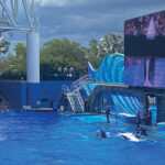 What’s New at SeaWorld Orlando?||