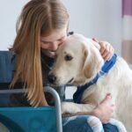 Service Dog or Therapy Dog?
