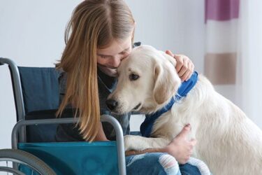 Service Dog or Therapy Dog?