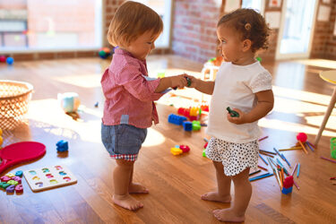 The Toddler Instruction Manual