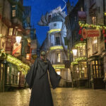 The Wizarding World of Harry Potter at Universal Studios Florida