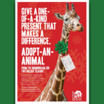 Adopt an Animal at the Birmingham Zoo! |Adopt an Animal at the Birmingham Zoo! 