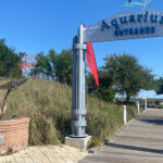 Dauphin Island Sea Lab Plans Reopening of Renovated Alabama Aquarium|The Alabama Aquarium