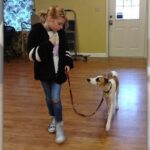 When Should Your Family Get a Dog – and How to Choose?