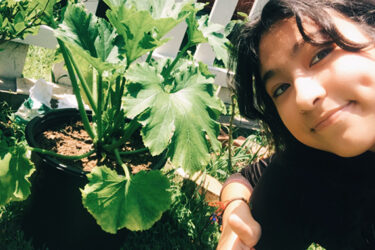 Camp Grow|Camp Grow 2020