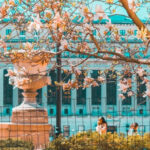 Attend a Virtual College Fair|Virtual Canines-N-Kids’ Two by Four Race to Fight Cancers|Interactive Virtual Fairy Tale Ball