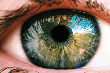 November is Eye Donation Month