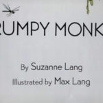 Grumpy Monkey
