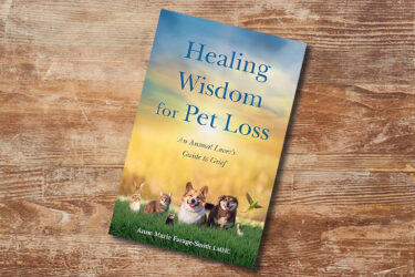 Saying Goodbye: How to Help Kids Cope with the Grief of Losing a Pet