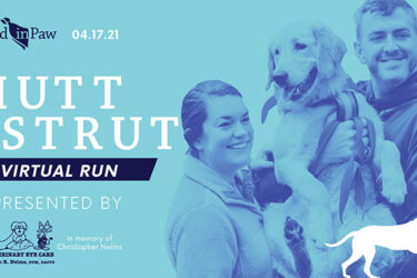 Hand in Paw’s Dog-Friendly 5k and Fun Run Goes Virtual!|Hand in Paw’s Dog-Friendly 5k and Fun Run Goes Virtual!