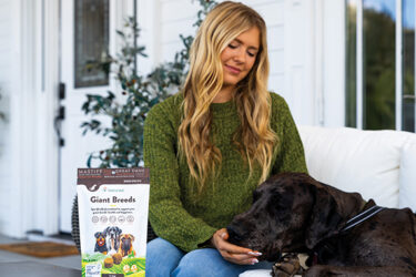 How to Support Your Pet’s Health During Summer