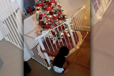 Baby Proofing||Baby Proofing