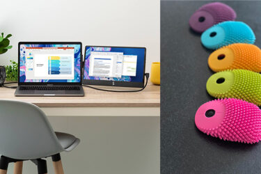 Products We Love - The Hoglet and the SideTrak Swivel