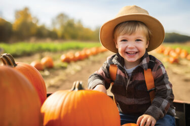 Tips for Visiting the Pumpkin Patch This Season
