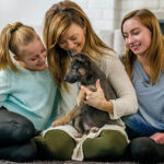 How to Welcome a New Puppy to the Family