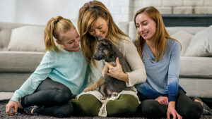 How to Welcome a New Puppy to the Family