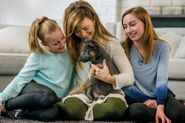 How to Welcome a New Puppy to the Family