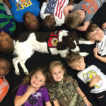 Facility Intervention Dogs