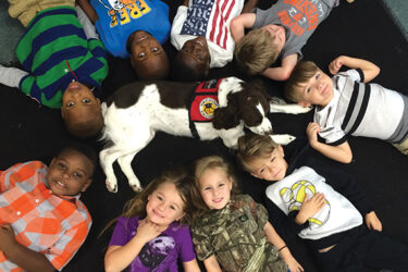 Facility Intervention Dogs