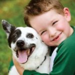 Top 7 Apps and Websites for Pet Owners | Birminghamparent.com