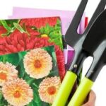 10 Ideas for Party Bags and Party Favors | Birminghamparent.com