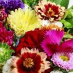 Caring for the Caretaker | Birminghamparent.com